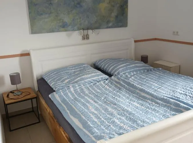 Robbe * Friedrichskoog